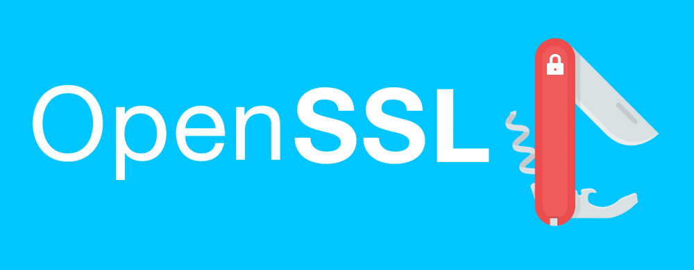 OpenSSL ile Uygulamalarınız için SSL Sertifikası oluşturmak